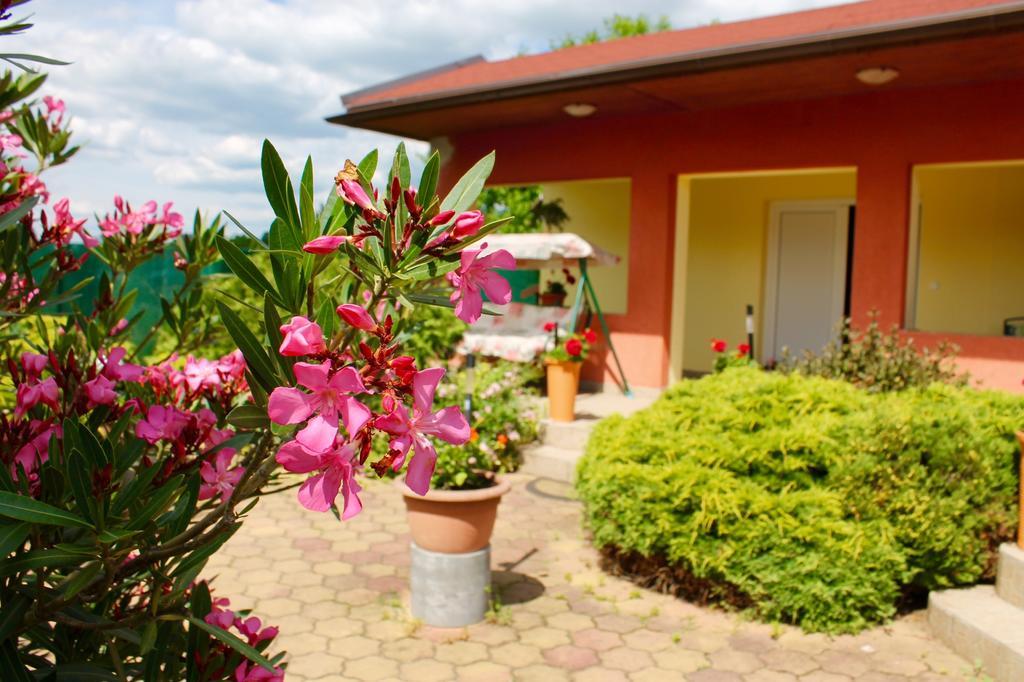 Anna Panzio Bed & Breakfast เอ็กแกร์ซาโลก ภายนอก รูปภาพ